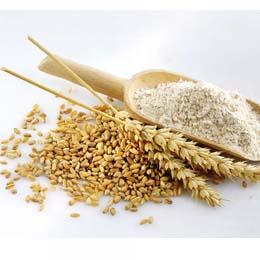 Flours & Grains